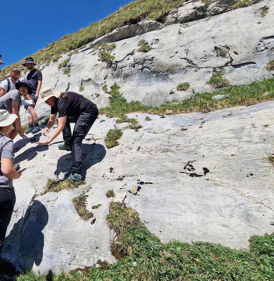 Alannah showing students features in a limestone outcrop on an alpine field course